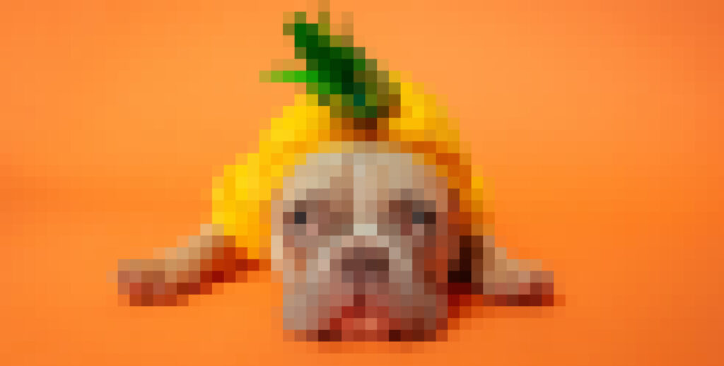 pixelated photo of french bulldog wearing a pineapple hat.